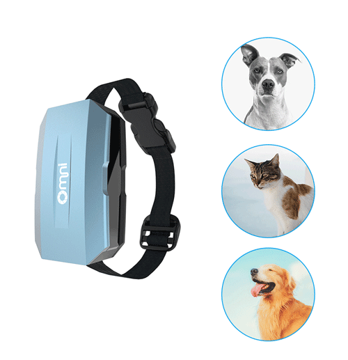 1638510179957380.png 微信截圖_20211203114810.png